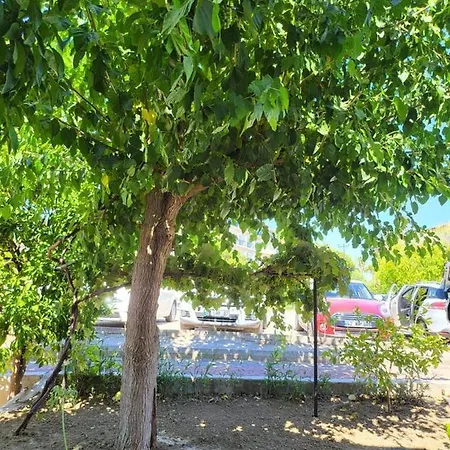 Sommerhaus * סייד